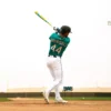 Victus Vibe Pro Crayon 2¾'' USSSA Bat (-10)