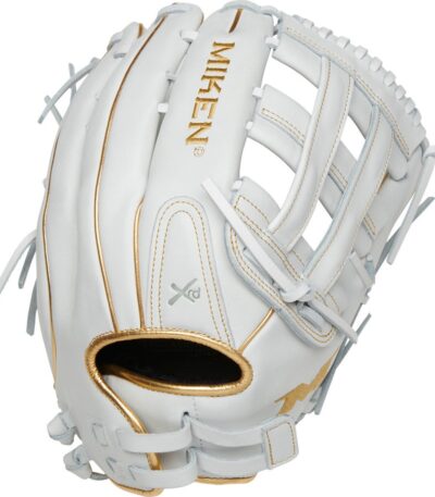 baseball glove